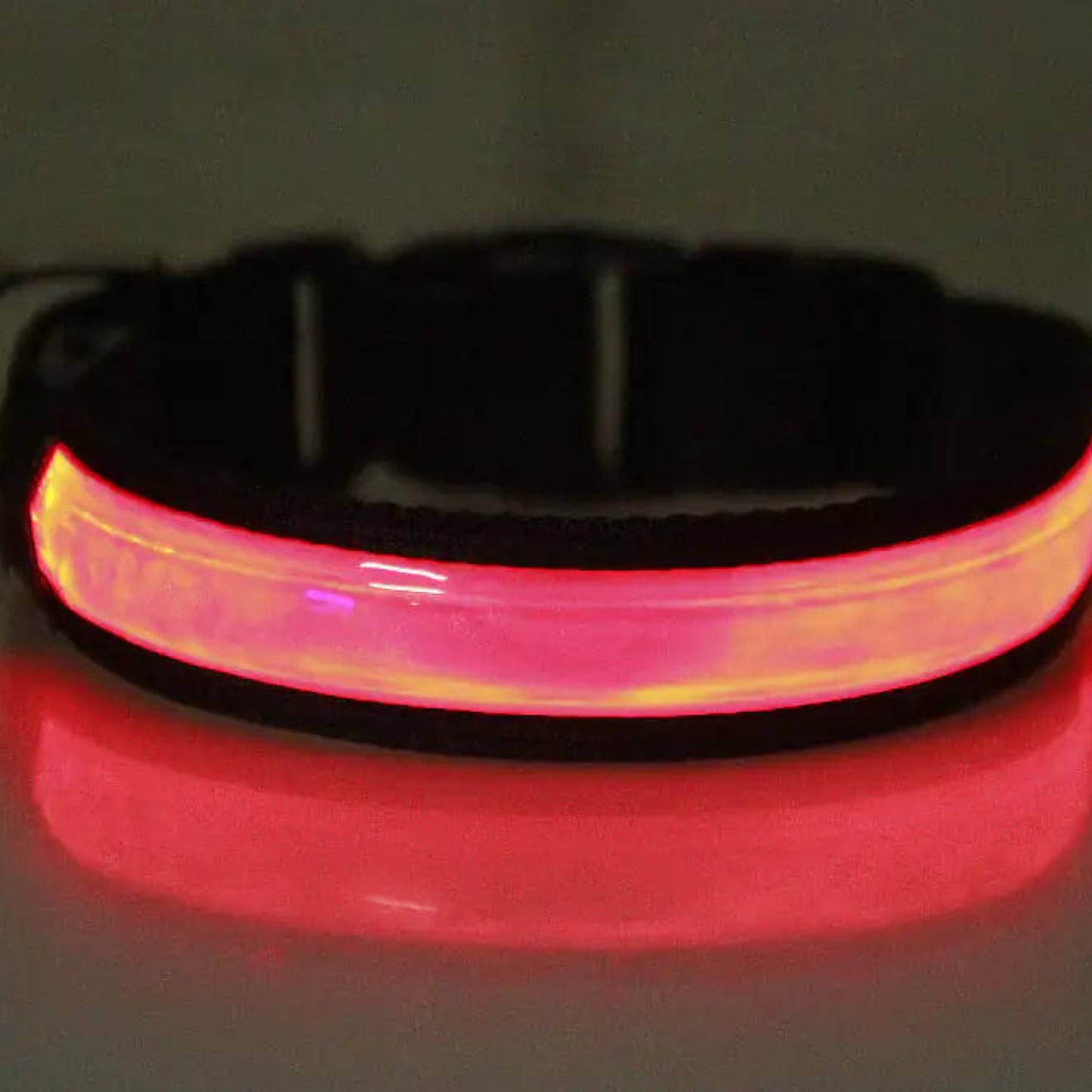 Black dog collar with a glowing red light on a dark background