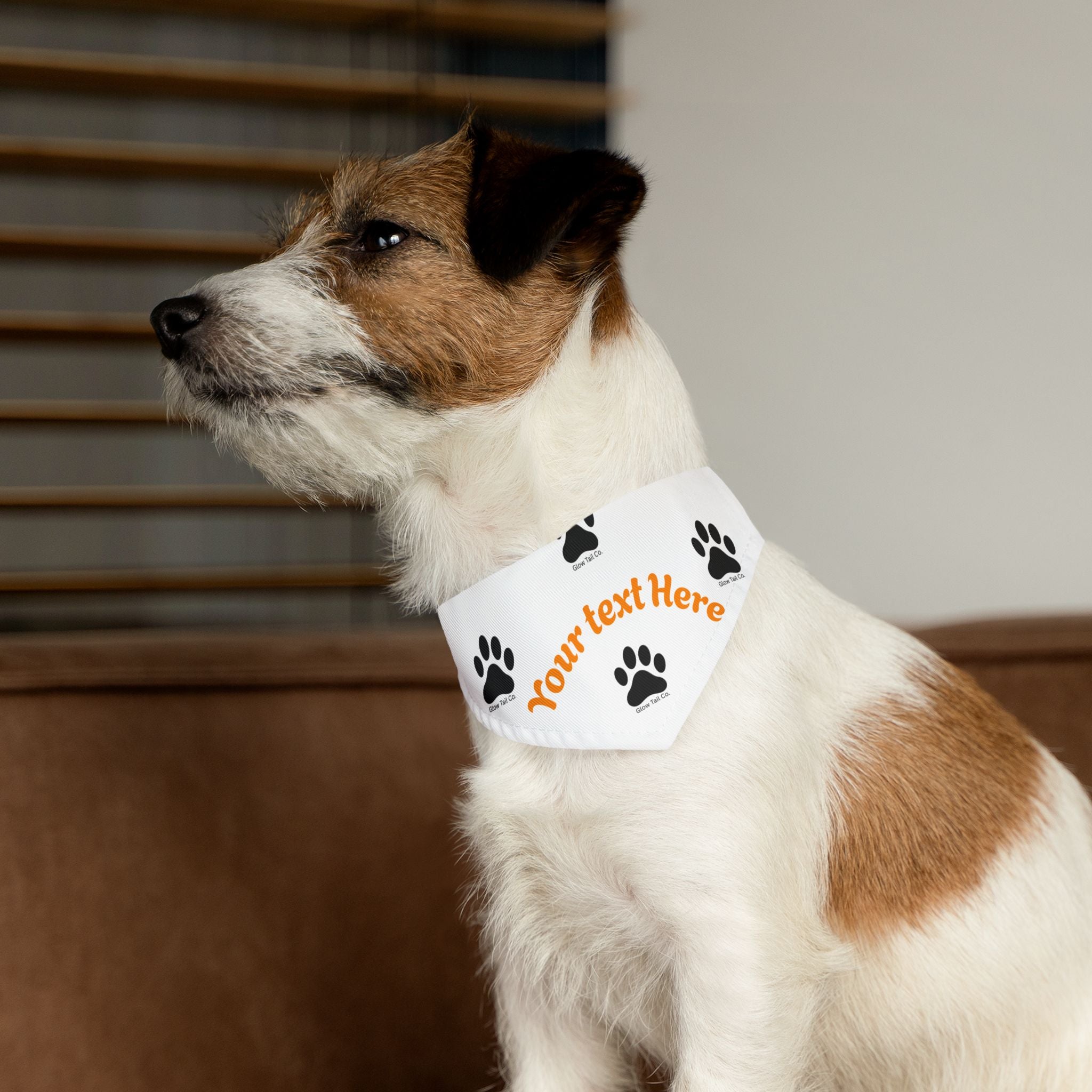 Dog wearing a bandana with customizable text, sitting indoors.