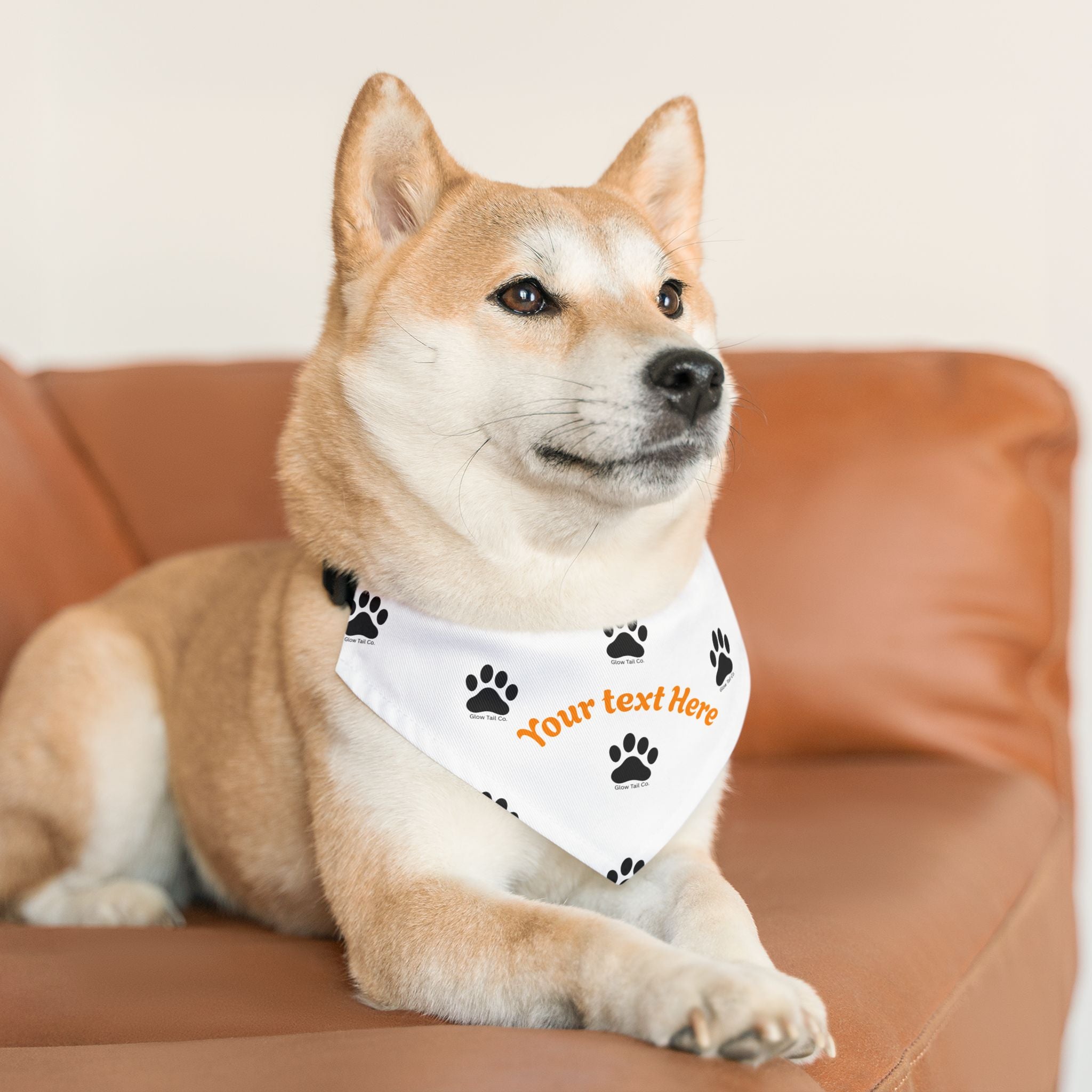 Dog wearing a bandana with customizable text on a brown couch