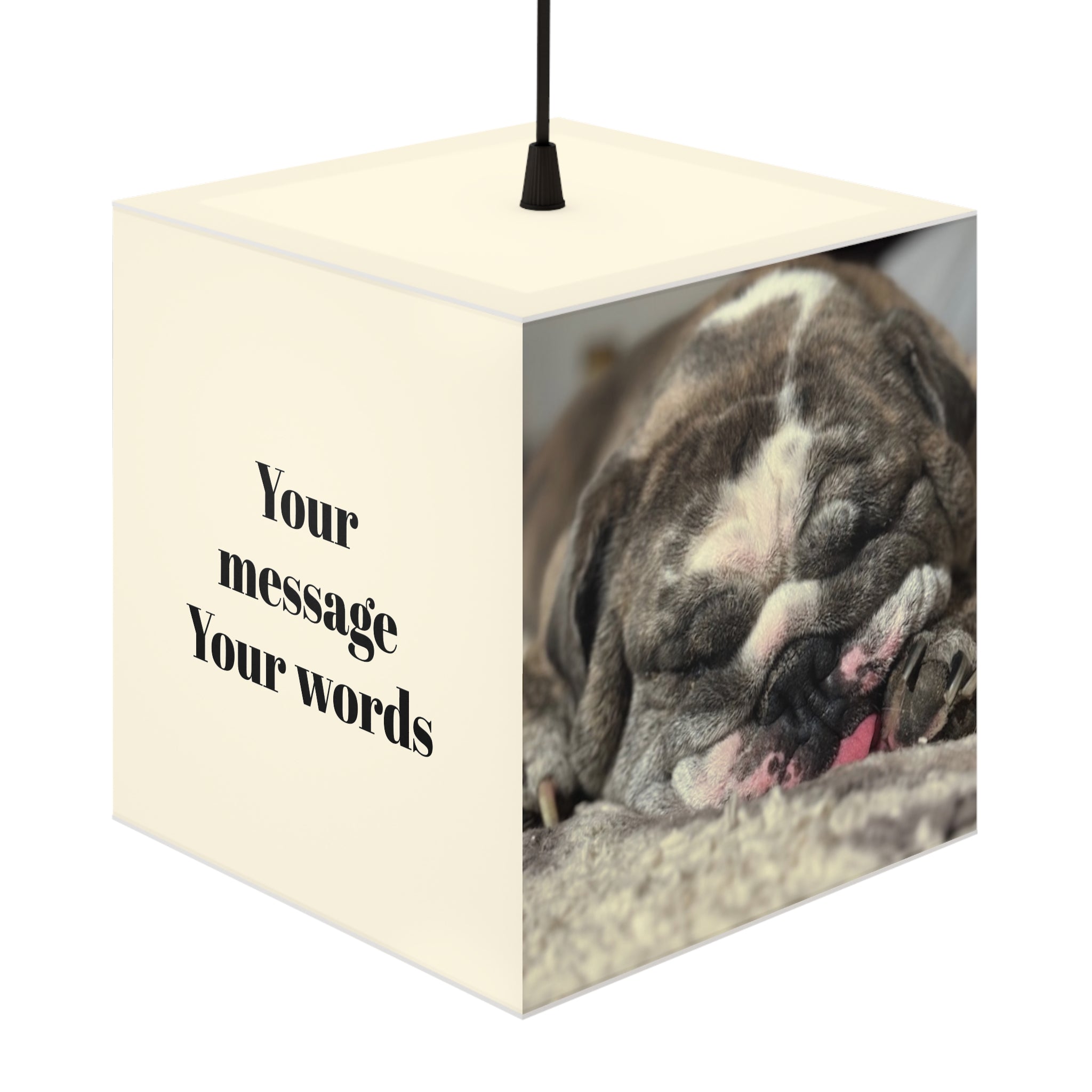 Custom Light Box