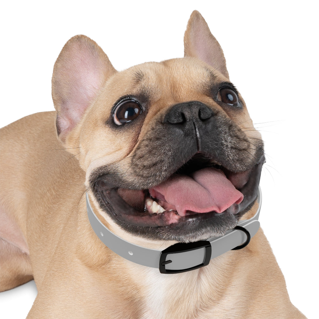 Paw-Sonalized Glow Tail Dog Collar