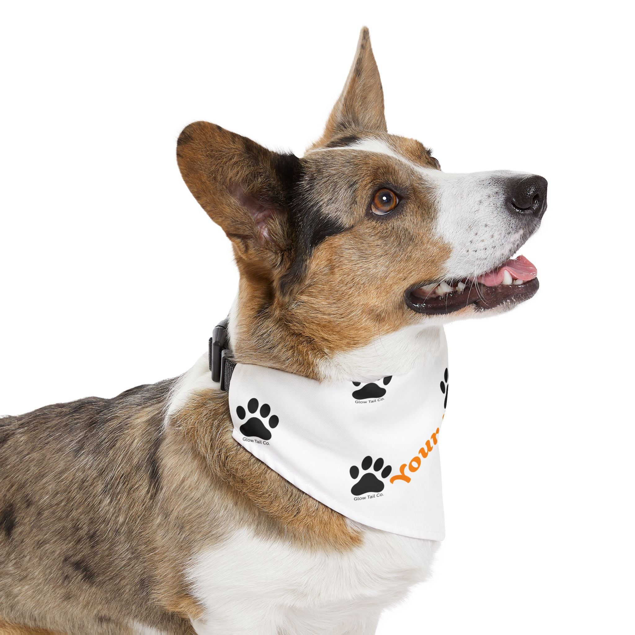 Dog wearing a white bandana with black paw prints and text on a white background