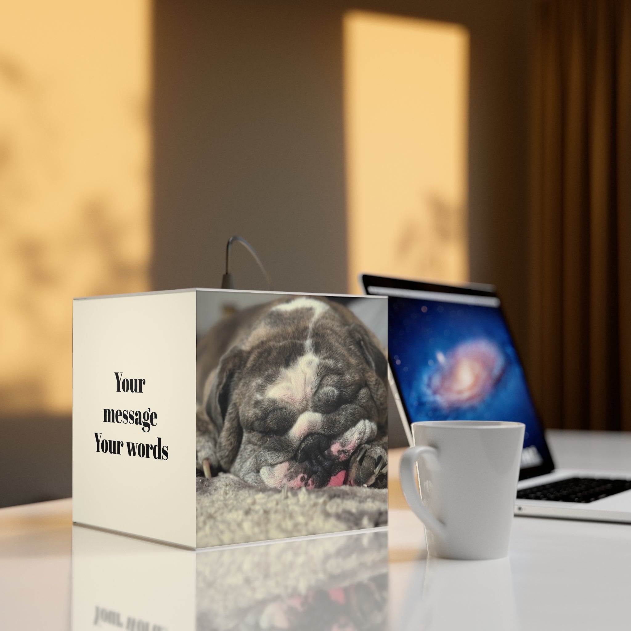 Custom Light Box