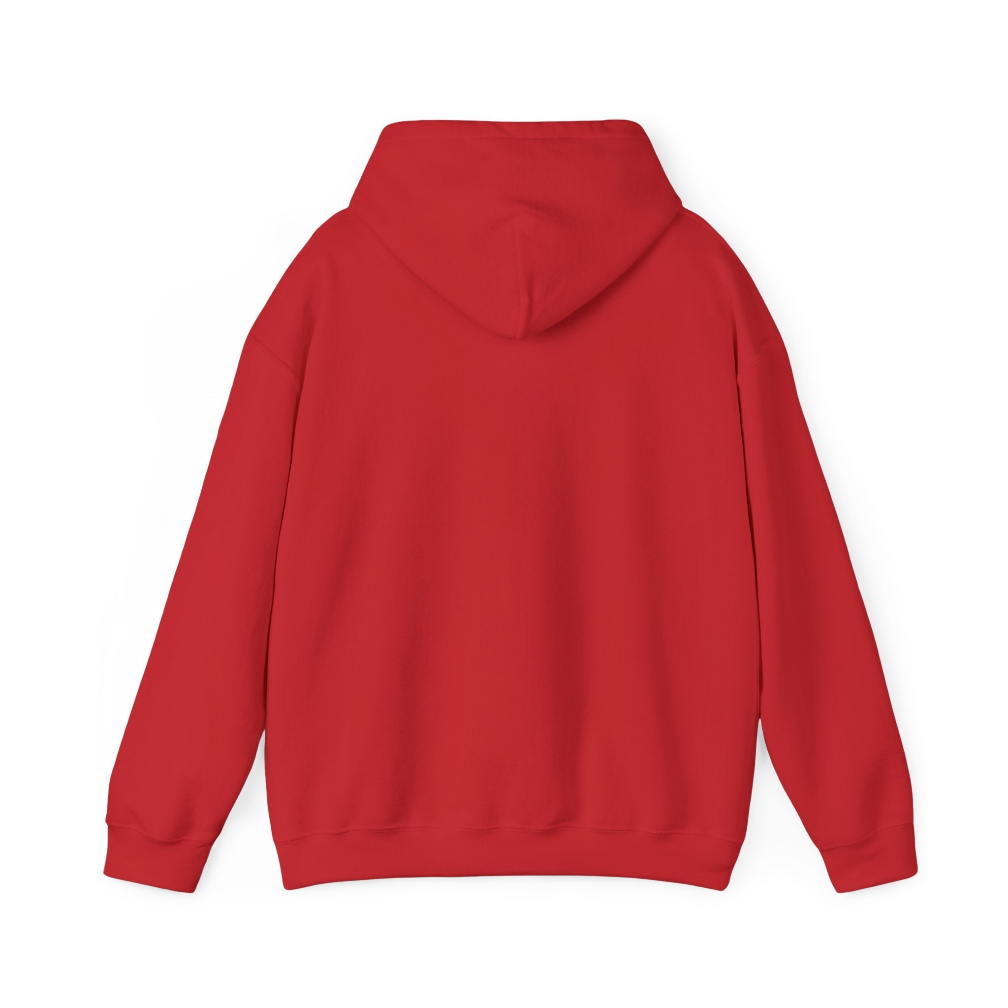 Adult Jr. Braves Hoodie