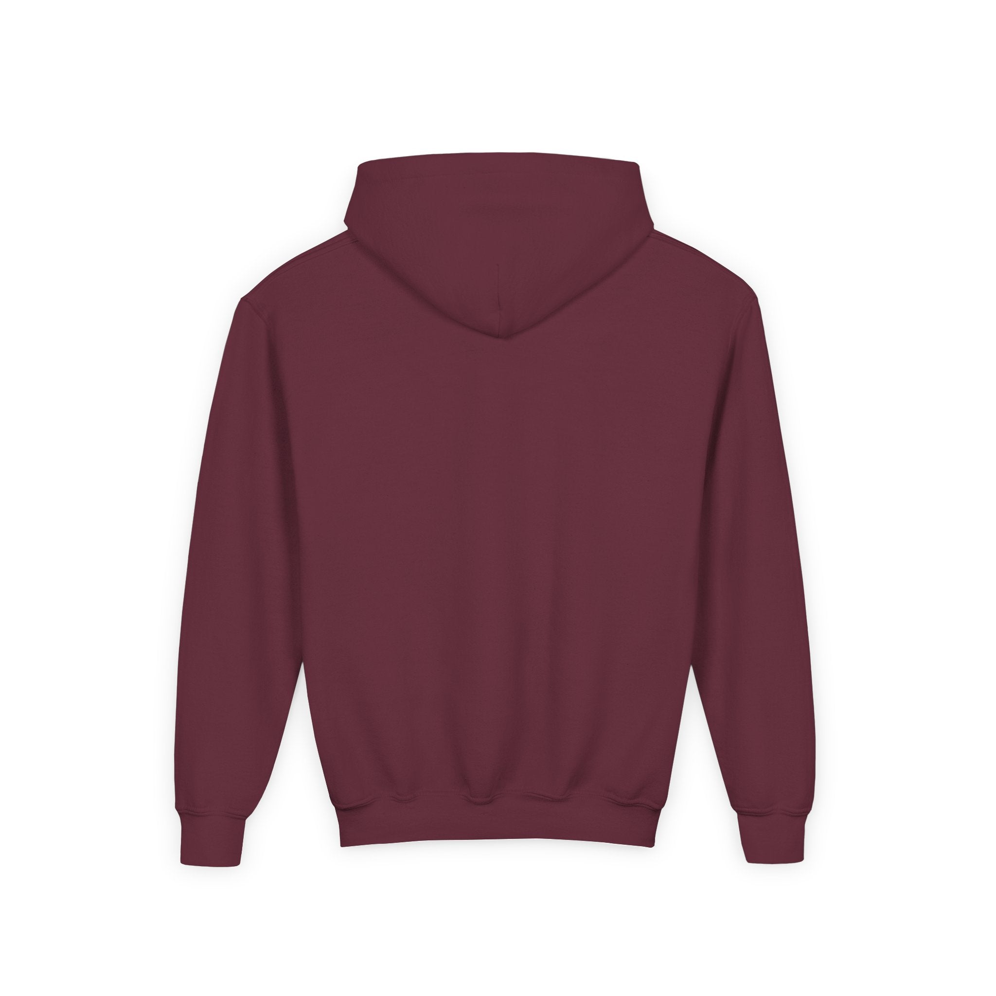 Youth Hooded Sweatshirt