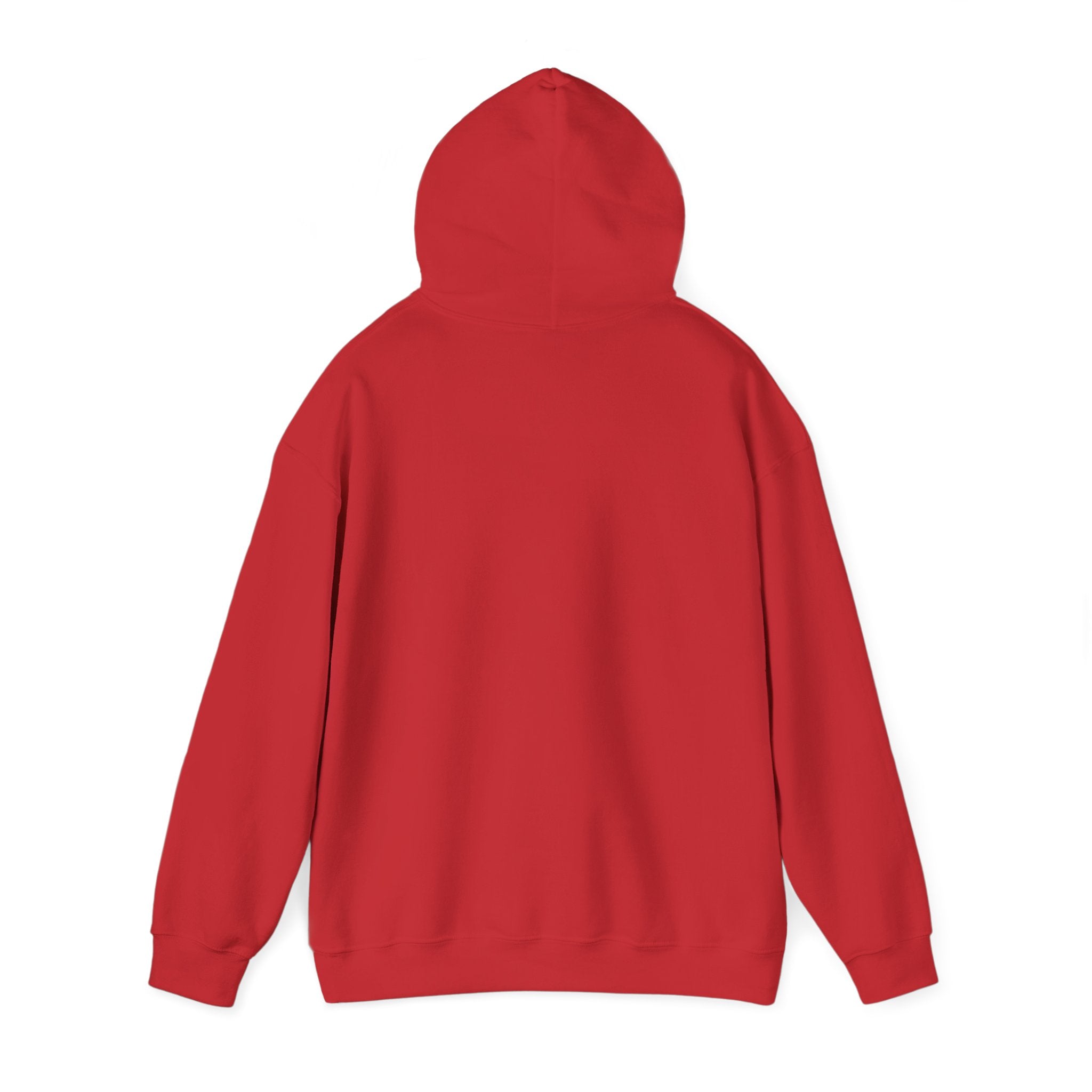 Adult Jr. Braves Hoodie