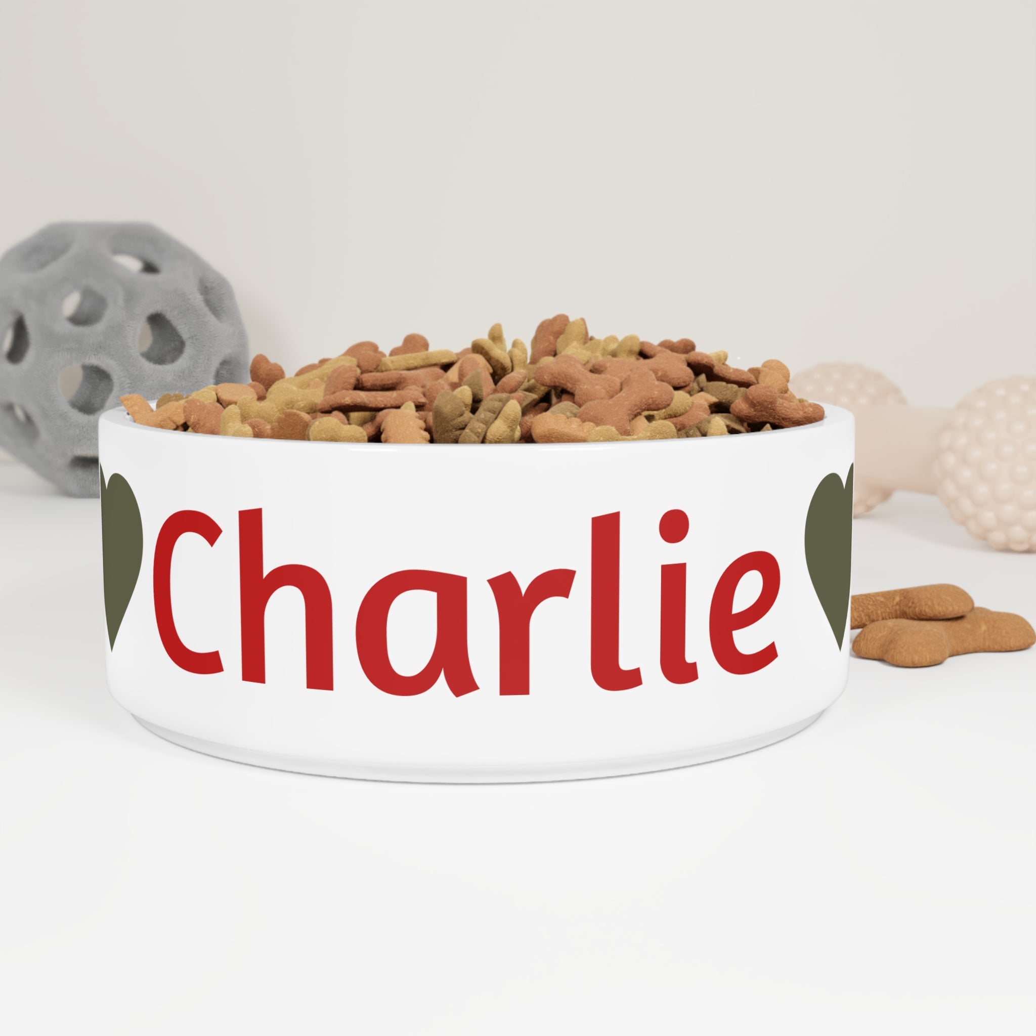 Dog food bowl with 'Charlie' printed on it, filled with kibble.